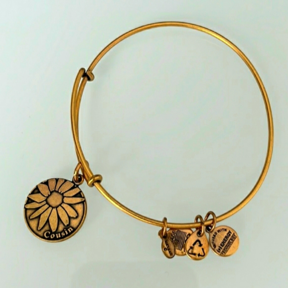Alex and Ani COUSIN Gold Charms Bracelet.